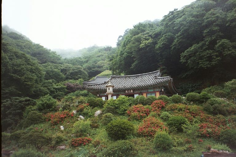 korea48